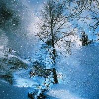 "Błękitna zima" (PzK) / "Blue Winter" (PzK)